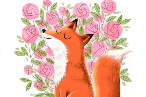 小狐狸多多和玫瑰花的故事