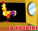 RͷʣRooster 