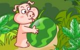 The Pig and the Watermelon