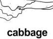 cabbage ɫ