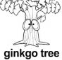 ginkgo tree
