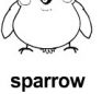 sparrow ɫ