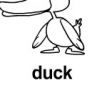 duck ɫ