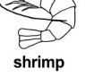 shrimp ɫ