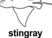 stingray ɫ