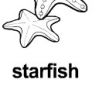 starfish ɫ