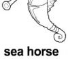 sea horse ɫ