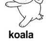 koala ɫ