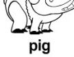 pig ɫ