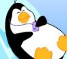 a penguin named kon
