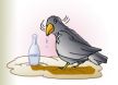 The crow and the water bottleѻˮ