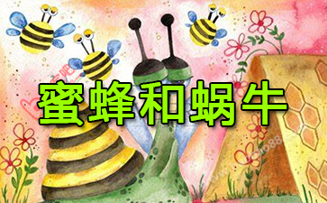 蜜蜂和蜗牛的故事