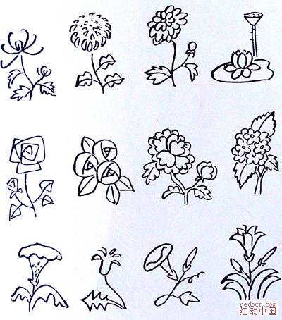 100种植物简笔画小图